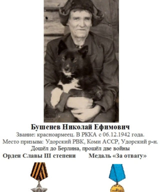Бушенев Николай Ефимович
