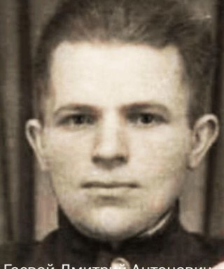 Гаевой Дмитрий