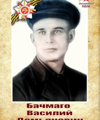 Бачмаго Василий Демьянович