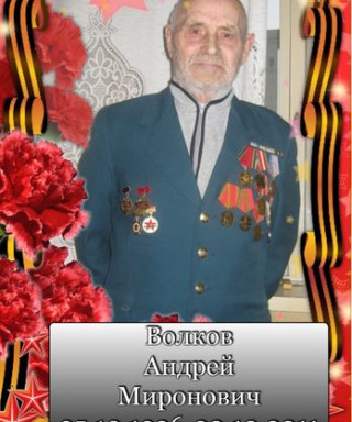 Волков Андрей Миронович