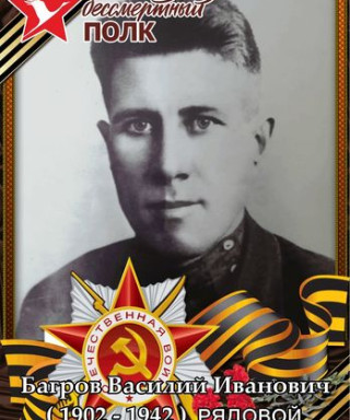 Багров Василий Иванович