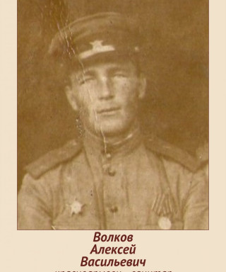Волков Алексей Васильевич