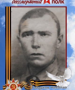 Гайдуков Николай Васильевич