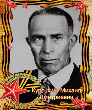 Курочкин Михаил Дмитриевич