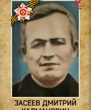 Засеев Дмитрий Калманович