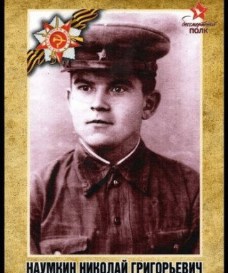 Наумкин Николай Георгиевич