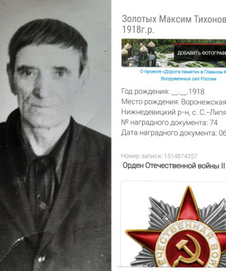 Золотых Максим Тихонович