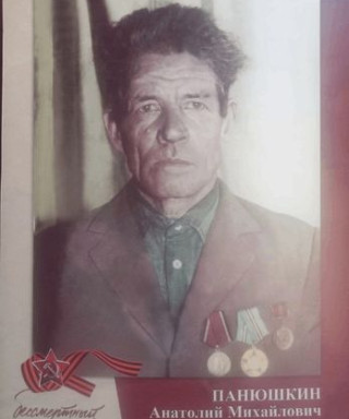 Панюшкин Анатолий Михайлович