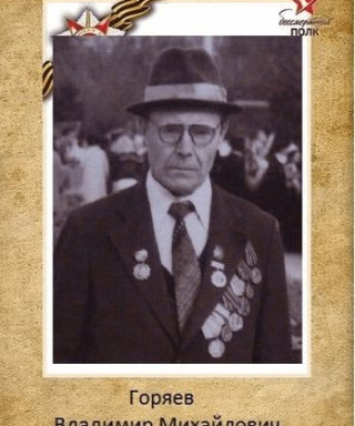 Горяев Владимир Михайлович