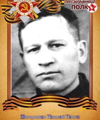 Жаворонков Николай Ильич