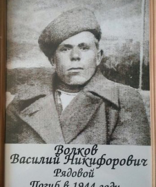 Волков Василий Никифорович