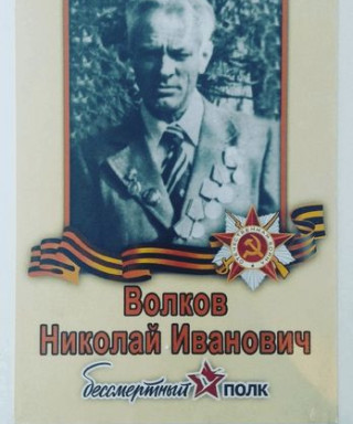 Волков Николай Иванович