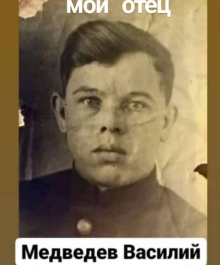 Медведев Василий Васильевич