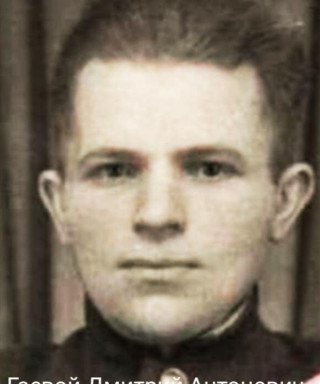 Гаевой Дмитрий Антонович