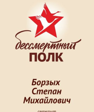 Борзых Степан Михайлович