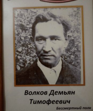 Волков Демьян Тимофеевич