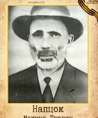 Напцок Махмуд Туович