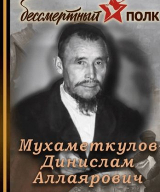 Мухаметкулов Динислам Аллаярович