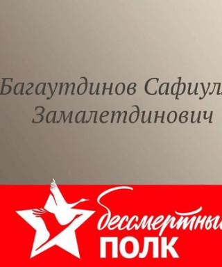 Багаутдинов Сафиулла Замалетдинович