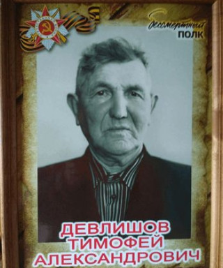 Девлишов Тимофей Александрович