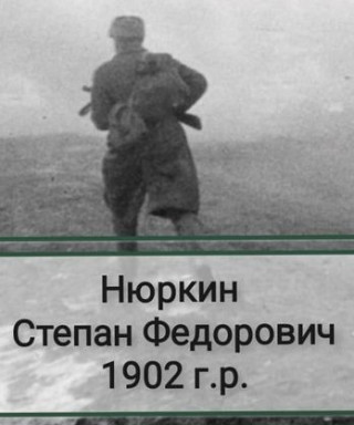 Нюркин Степан Федорович