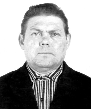 Дмитриев Владимир Васильевич