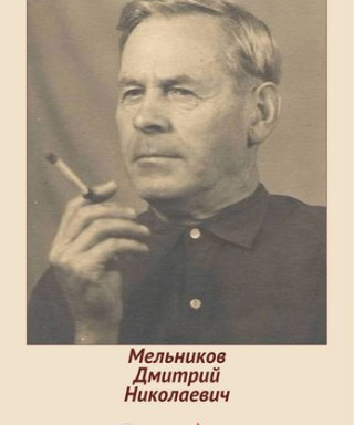 Мельников Дмитрий Николаевич