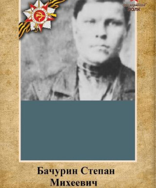 Бачурин Степан Михеевич