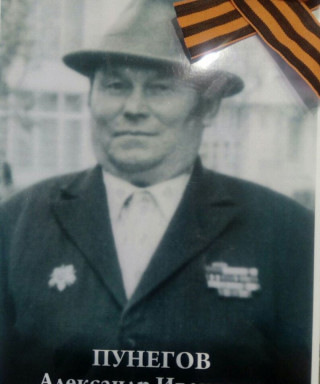 Пунегов Александр Иванович