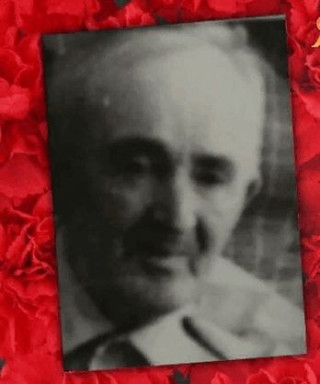 мишин иван михайлович