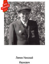 Лямин Николай Иванович