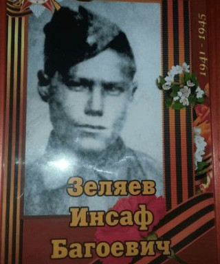 Зеляев Инсаф Багоевич