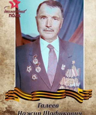Галеев Нажип Шафикович