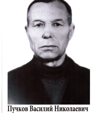 Пучков Василий Никитович