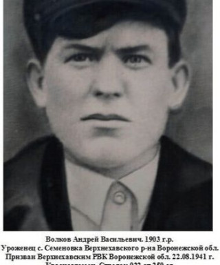 Волков Андрей Васильевич
