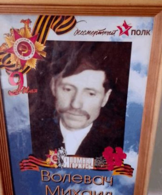 Волевач Михаил Данилович