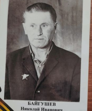 Байгушев Николай Иванович