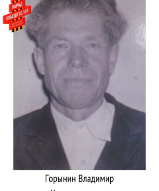Горынин Владимир Константинович
