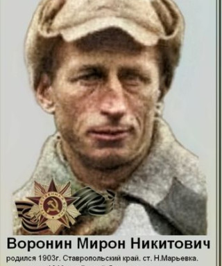 Воронин Мирон Никитович