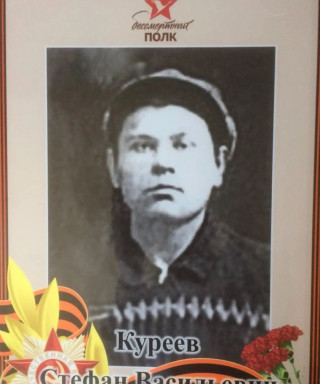 Куреев Стефан Васильевич