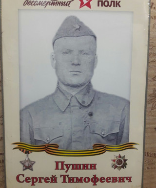 Пушин Сергей Тимофеевич