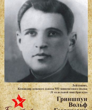 Гриншпун Вольф Георгиевич