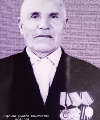 Воронин Николай Тимофеевич