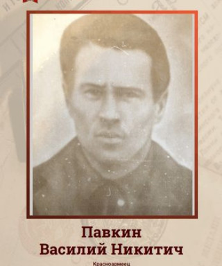 Павкин Василий Никитич
