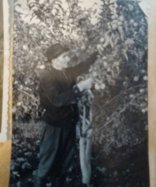 АЛЕКСАНДРОВ НИКИТА АНДРЕЕВИЧ