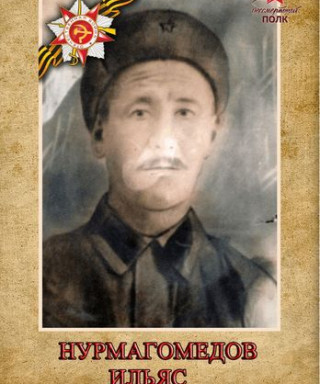 Нурмагомедов Ильяс Язлыбаевич