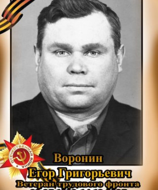 Воронин Егор Григорьевич