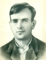 Дементьев Михаил Илларионович