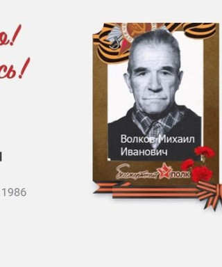 Волков Михаил Иванович