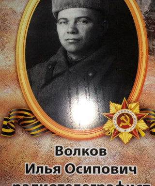 Волков Илья Осипович